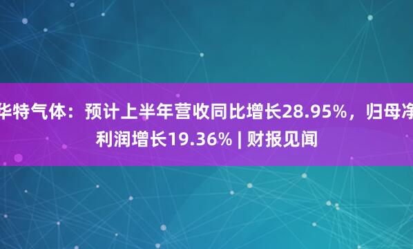 华特气体：预计上半年营收同比增长28.95%，归母净利润增长19.36% | 财报见闻
