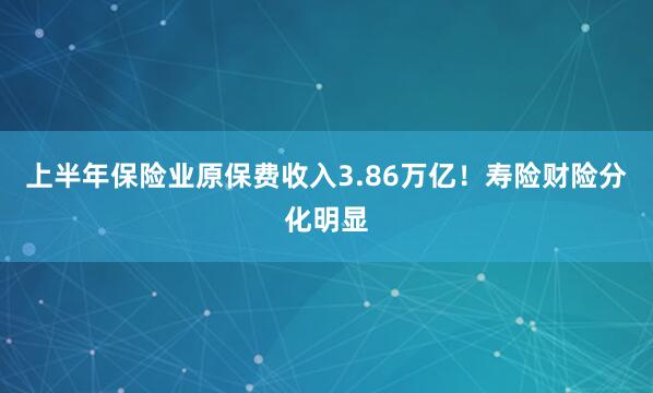 上半年保险业原保费收入3.86万亿！寿险财险分化明显
